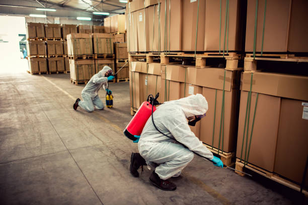 Best Emergency Pest Control  in Stockbridge, MI