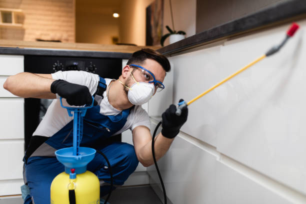 Best Local Pest Control Services  in Stockbridge, MI