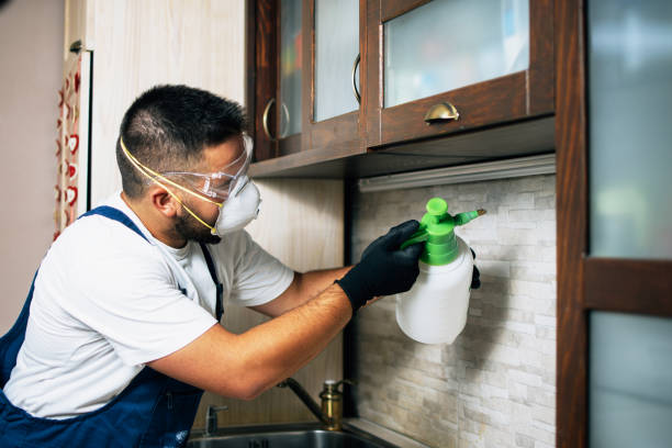 Best Bed Bug Extermination  in Stockbridge, MI