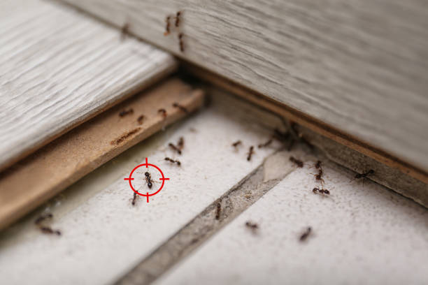 Stockbridge, MI Pest Control Company