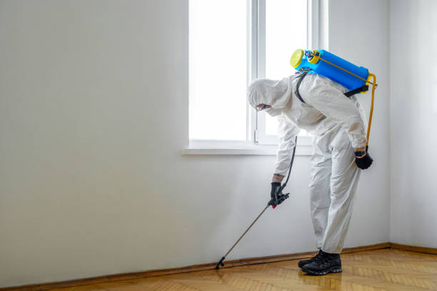 Best Rat Extermination Near Me  in Stockbridge, MI