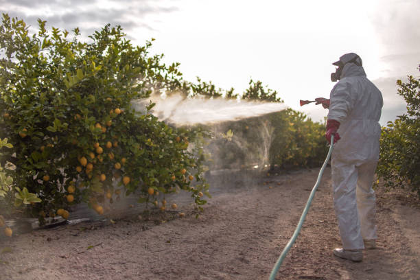 Best Mosquito Control Services  in Stockbridge, MI