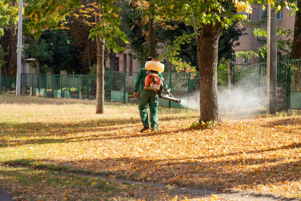 Best Ant Control Services  in Stockbridge, MI