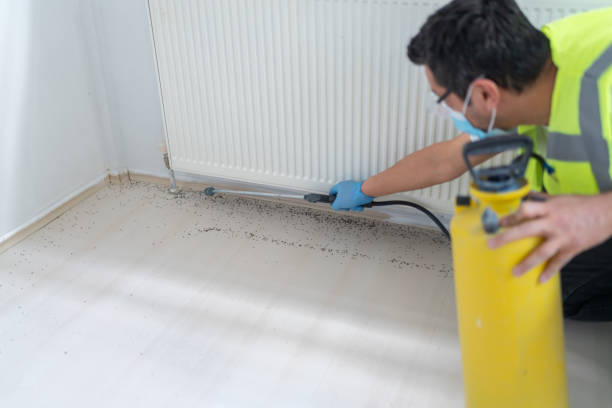 Best Ant Control Services  in Stockbridge, MI