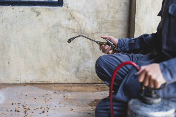 Best Pest Removal Services  in Stockbridge, MI